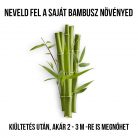 Moso bambusz növény nevelő szett, Moso bambusz növény nevelő szett