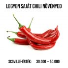 Cayenne red chili paprika növény nevelő szett, Cayenne red chili paprika növény nevelő szett