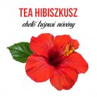 Tea hibiszkusz növény nevelő szett, Tea hibiszkusz növény nevelő szett