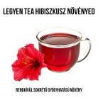 Tea hibiszkusz növény nevelő szett, Tea hibiszkusz növény nevelő szett