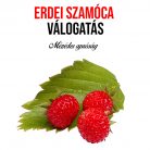 Erdei szamóca válogatás növény nevelő szett, Erdei szamóca válogatás növény nevelő szett