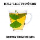 Ginkgo Biloba növény nevelő szett, Ginkgo Biloba növény nevelő szett